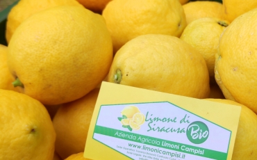 cassetta limoni 10kg -