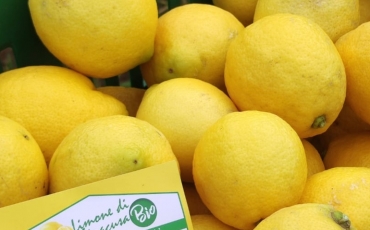 rete limoni 5kg